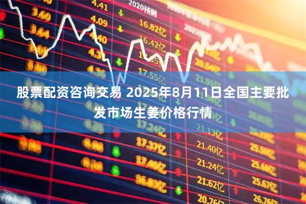 股票配资咨询交易 2025年8月11日全国主要批发市场生姜价格行情