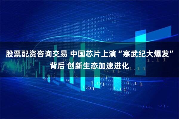股票配资咨询交易 中国芯片上演“寒武纪大爆发”背后 创新生态加速进化