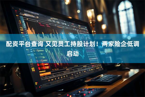 配资平台查询 又见员工持股计划！两家险企低调启动