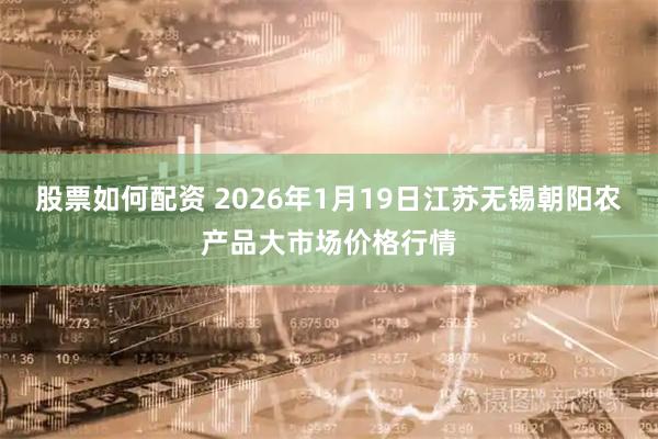 股票如何配资 2026年1月19日江苏无锡朝阳农产品大市场价格行情